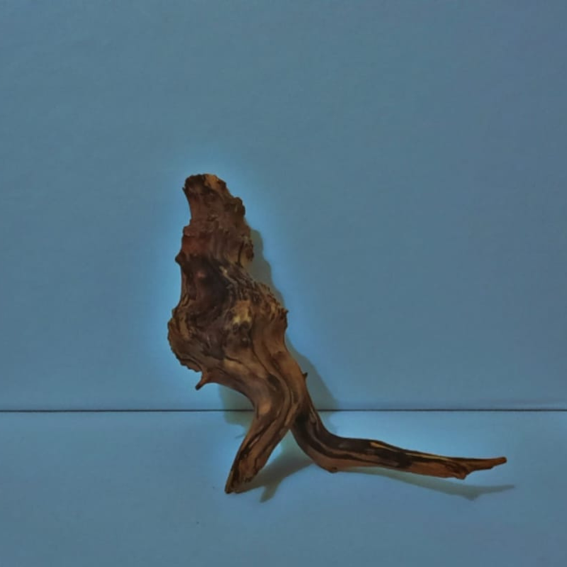 W-9 WetRootz