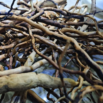 Thin Detailing Branches WetRootz