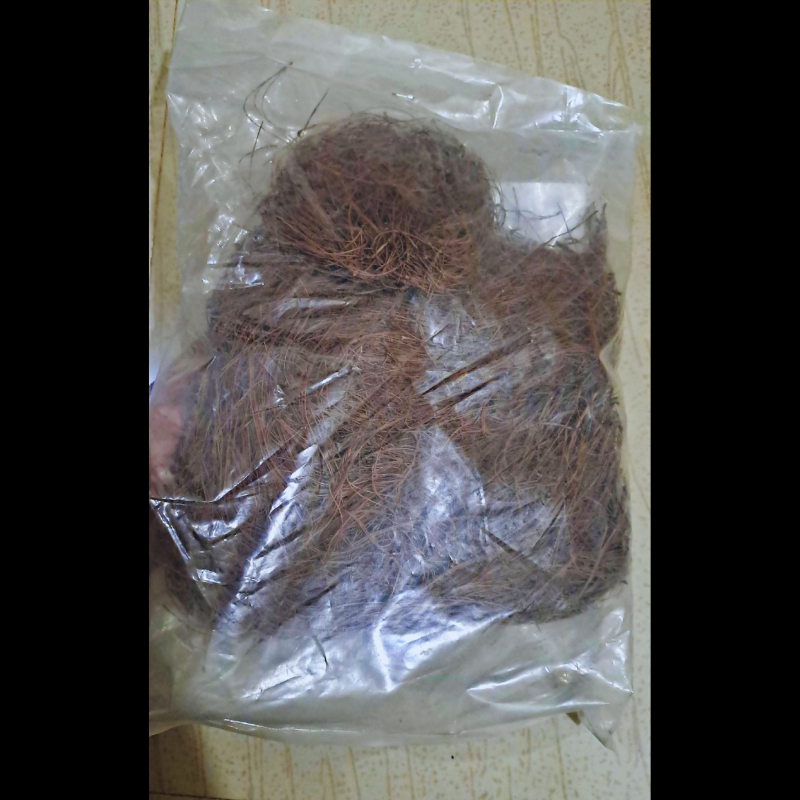 Pine Needles -100% Natural WetRootz