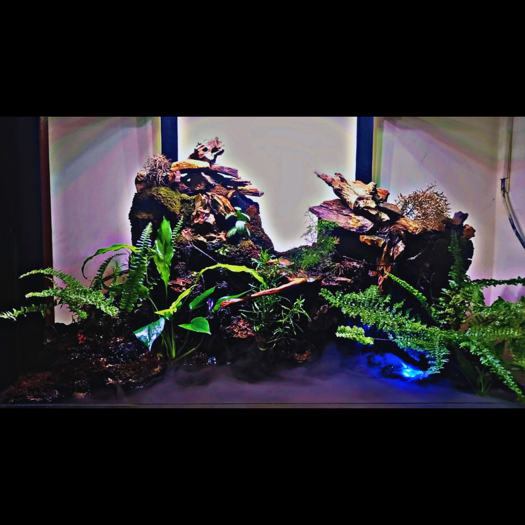3 ft Luxury Paludarium WetRootz