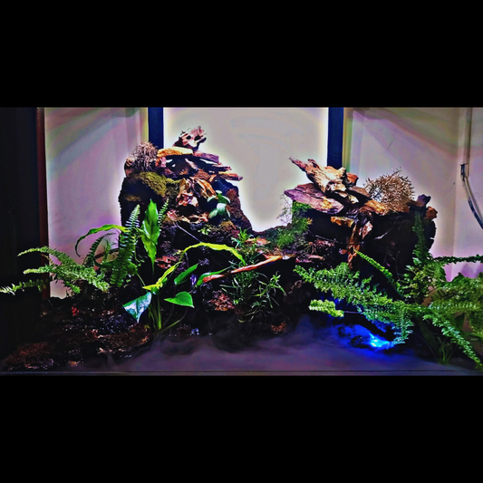 3 ft Luxury Paludarium WetRootz