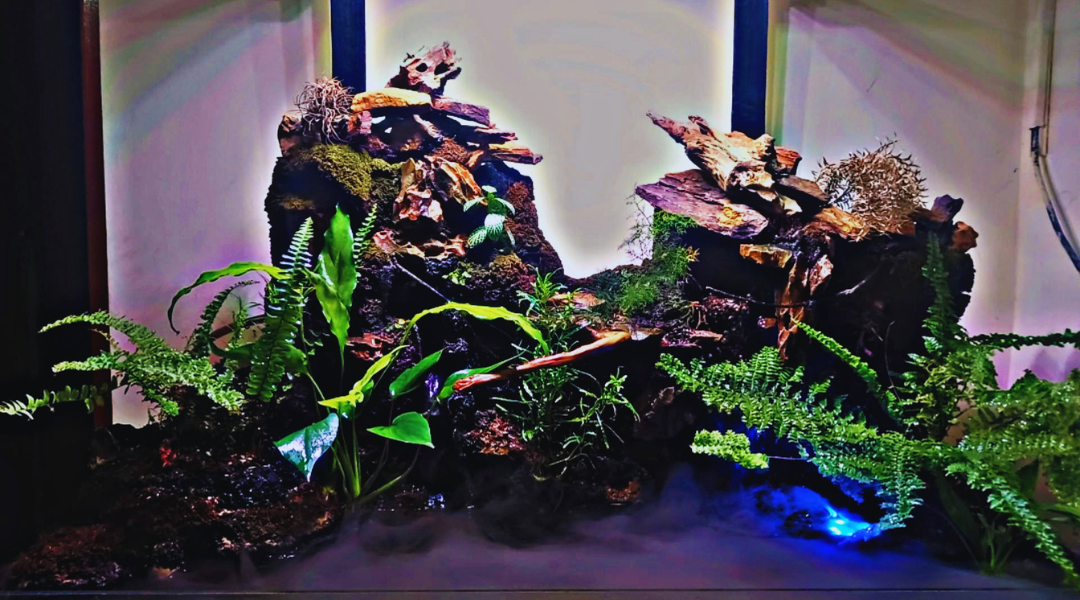 3 ft Luxury Paludarium WetRootz