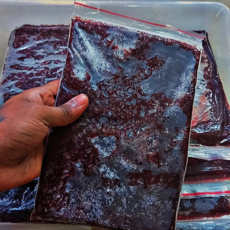 Frozen Bloodworms WetRootz