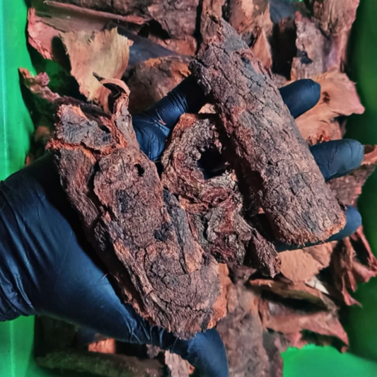 Teak Wood Bark WetRootz