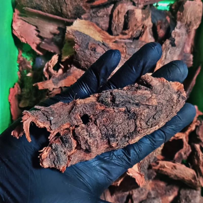 Teak Wood Bark WetRootz
