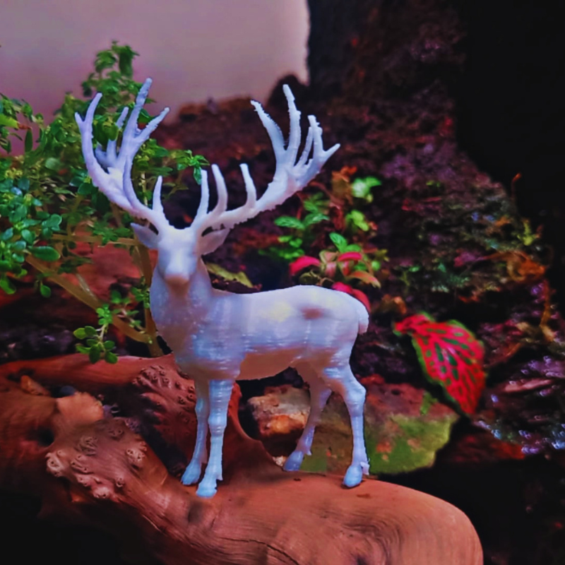 Reindeer - 3 WetRootz